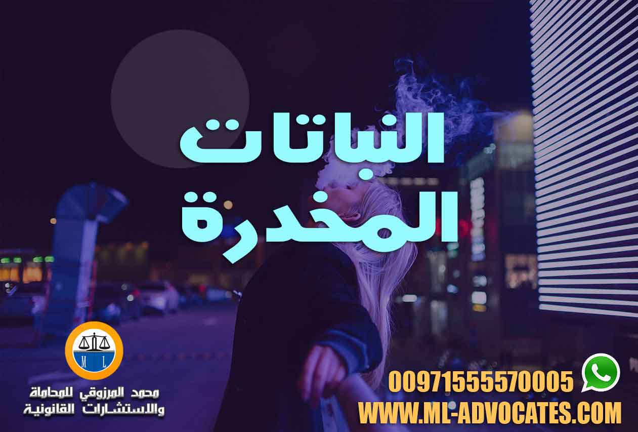 النباتات المخدرة – محامي قضايا مخدرات